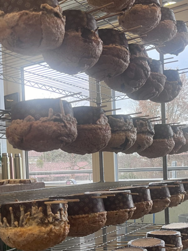 Panettone au safran et agrumes – Image 3
